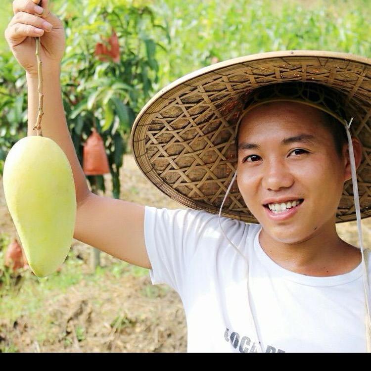 黔西南牧草小向