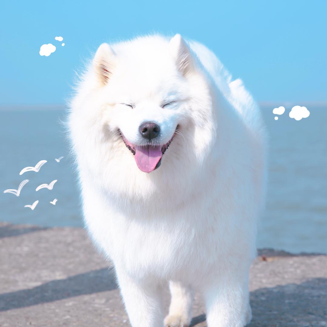 wuli悠悠团儿🍥