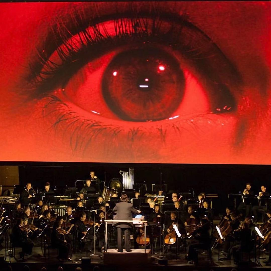 Giovani rinascimenta