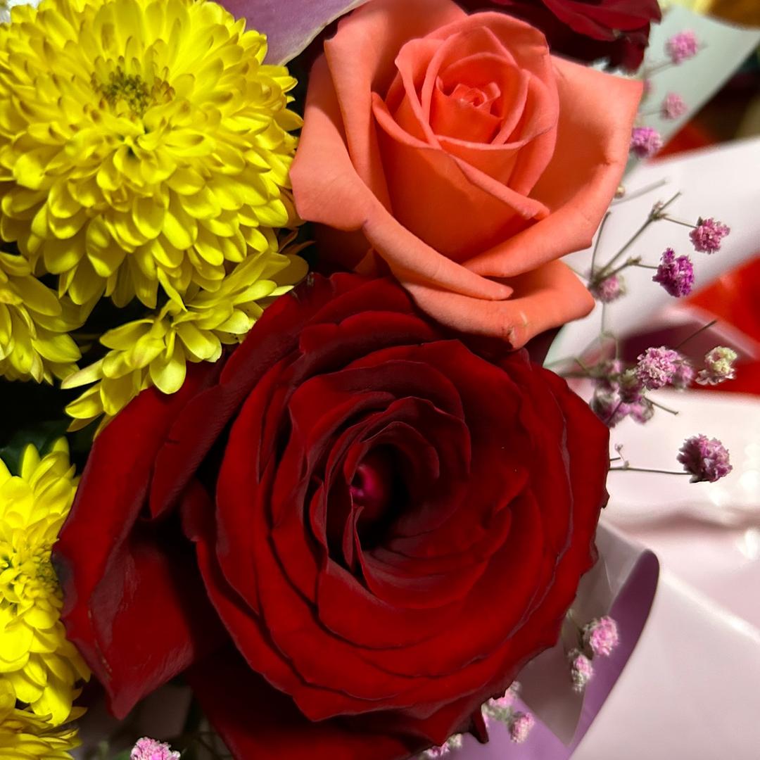 👉👉👉《微笑:）莱尚:》