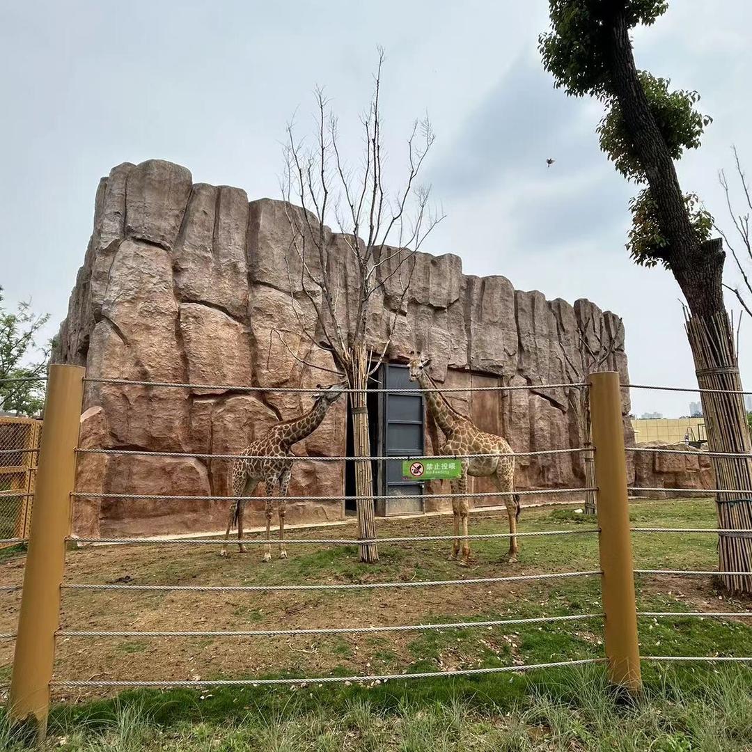 荆州就业一线牵