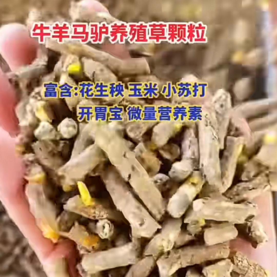 鲁顺颗粒饲料厂