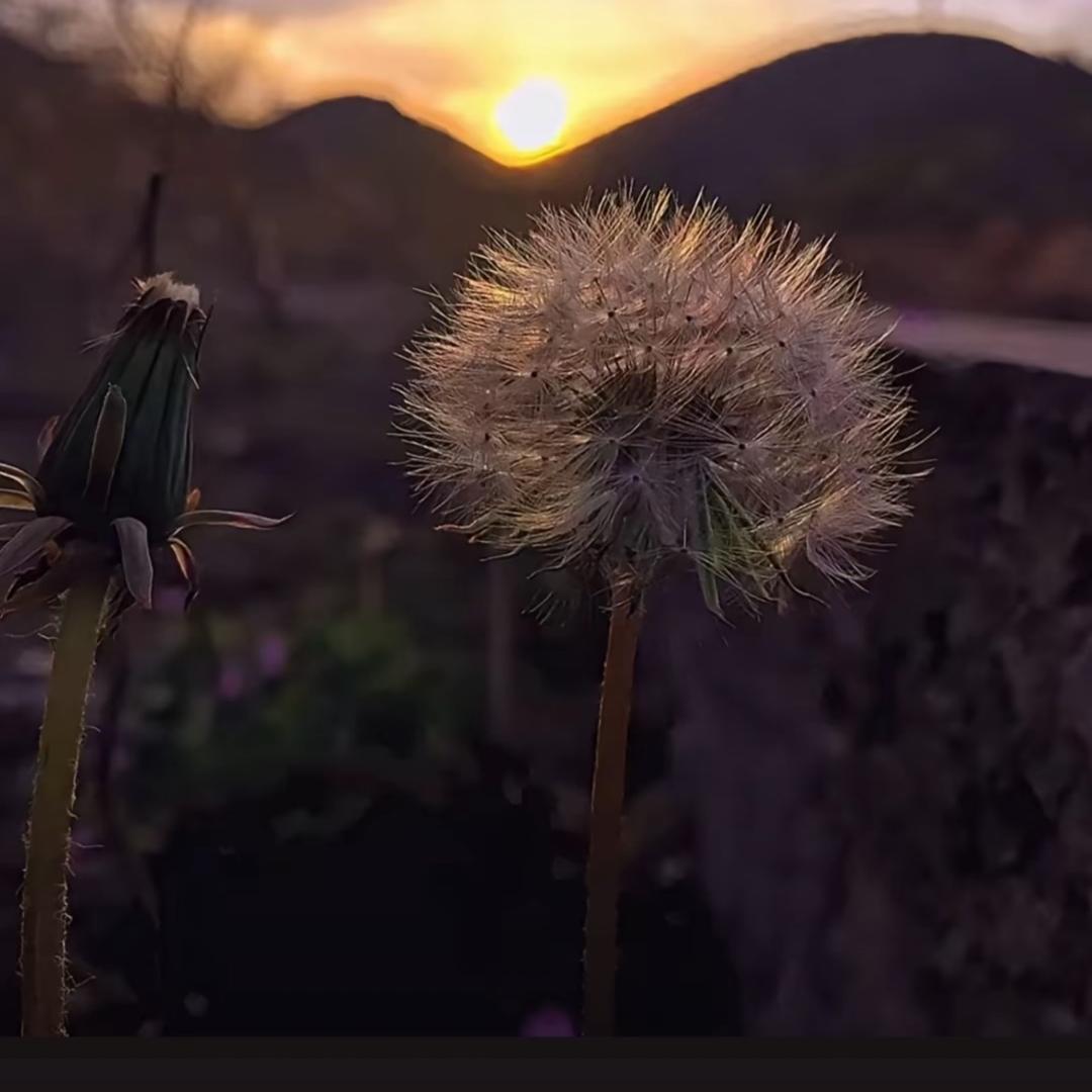 总不能一直活在过去
