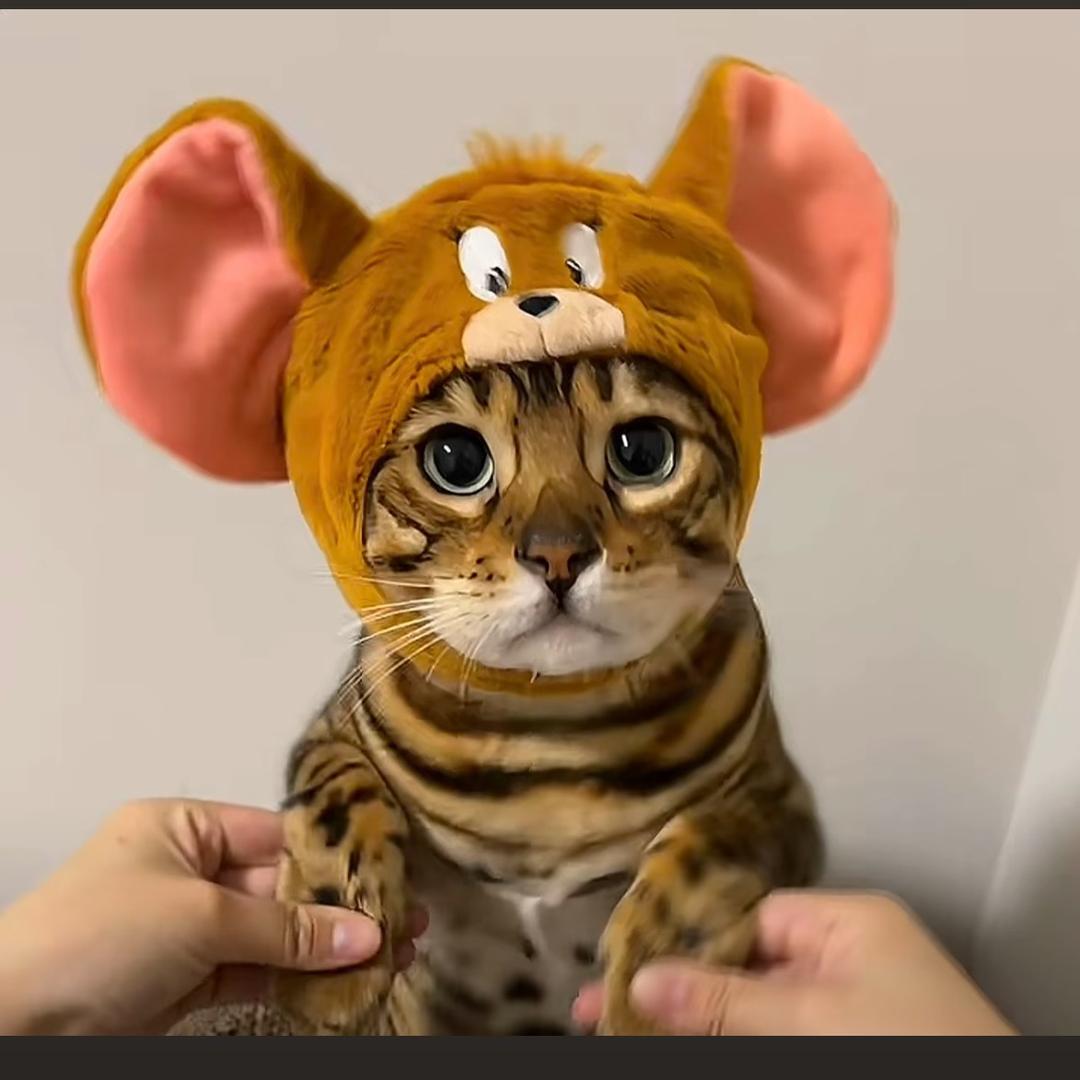 玻璃礼哩哩哩啦啦🫰🏻