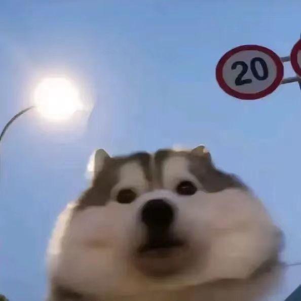 亿万小胡