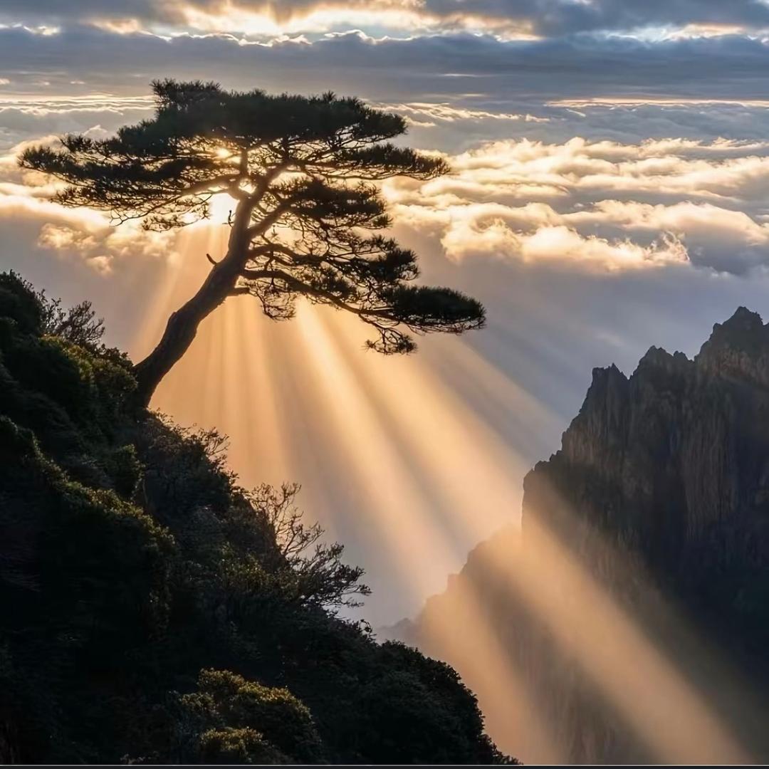 新房小王吧