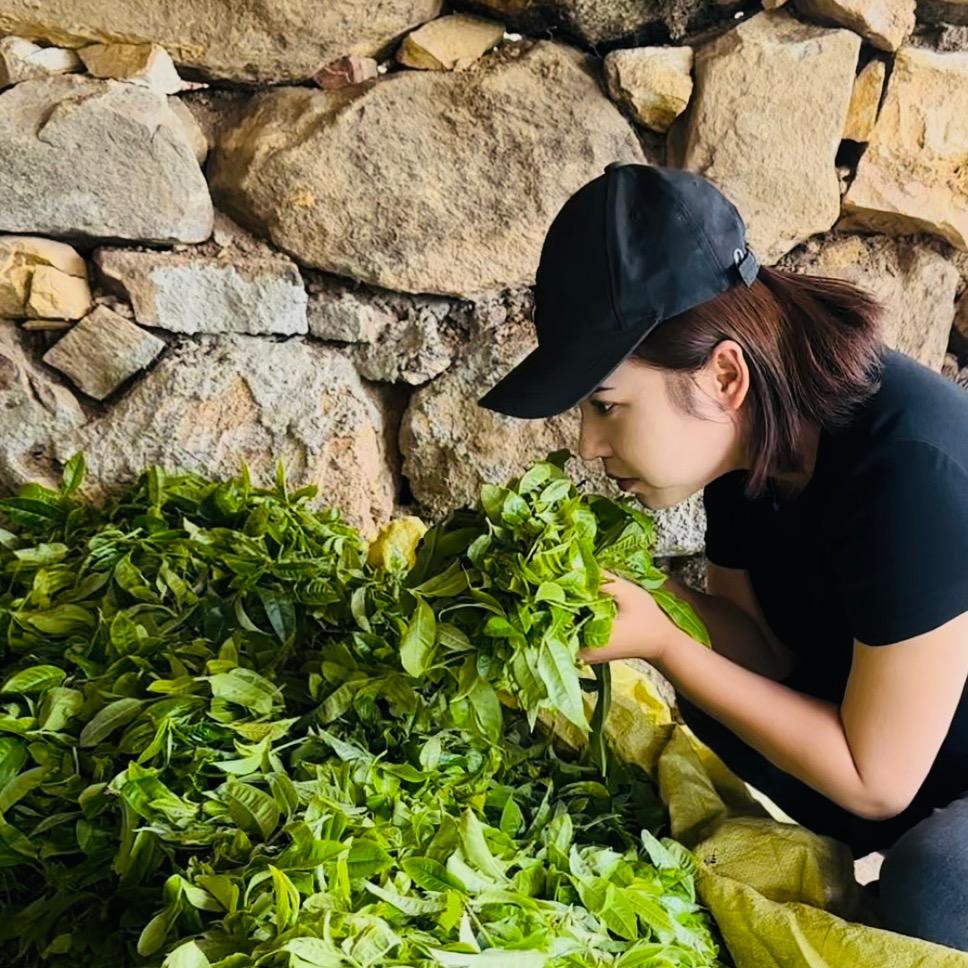 屹镜源～叶子🍃