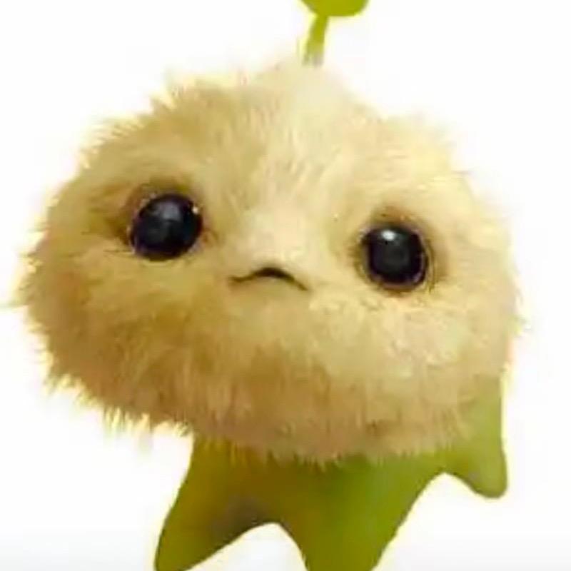 我是甜菜