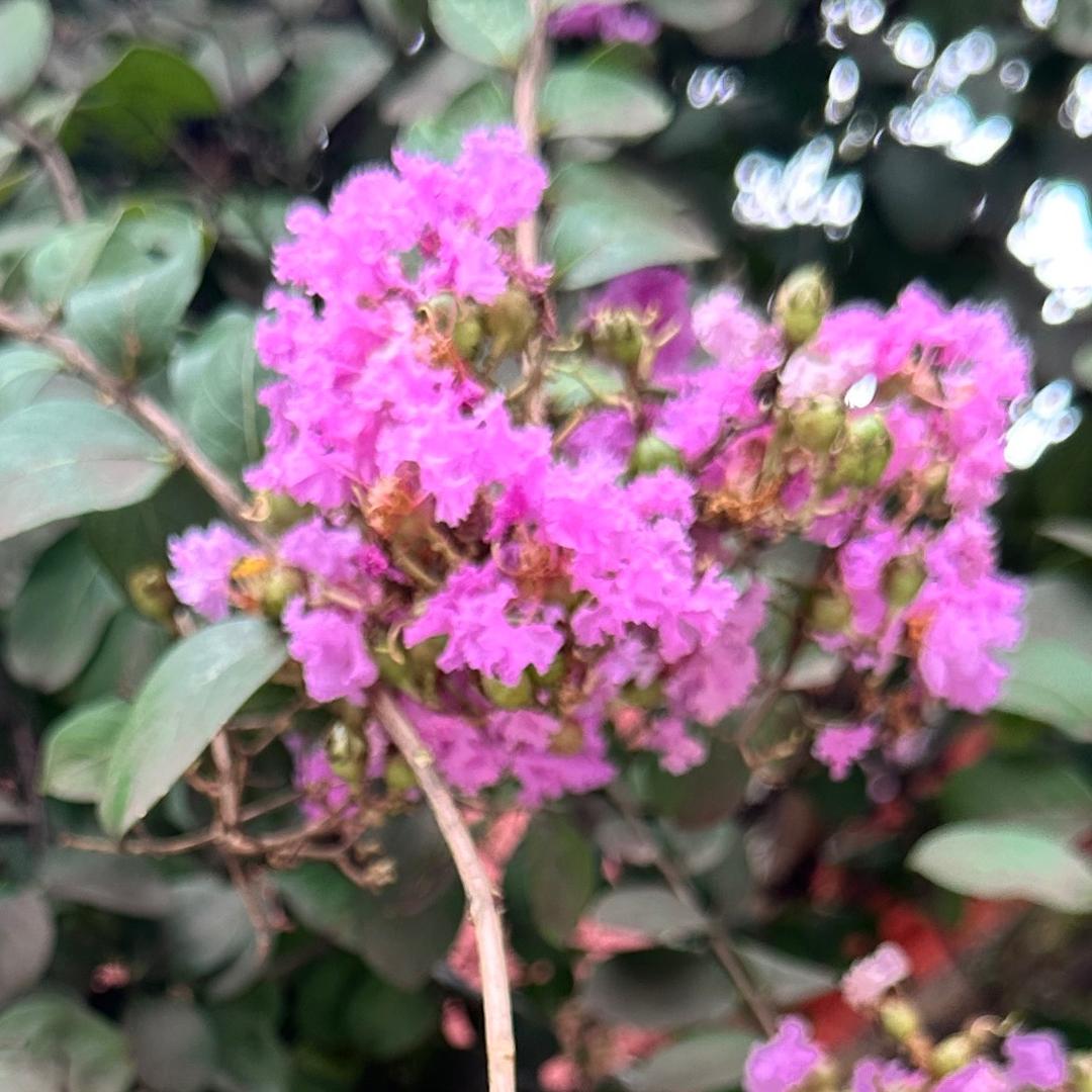 厚厚的冰