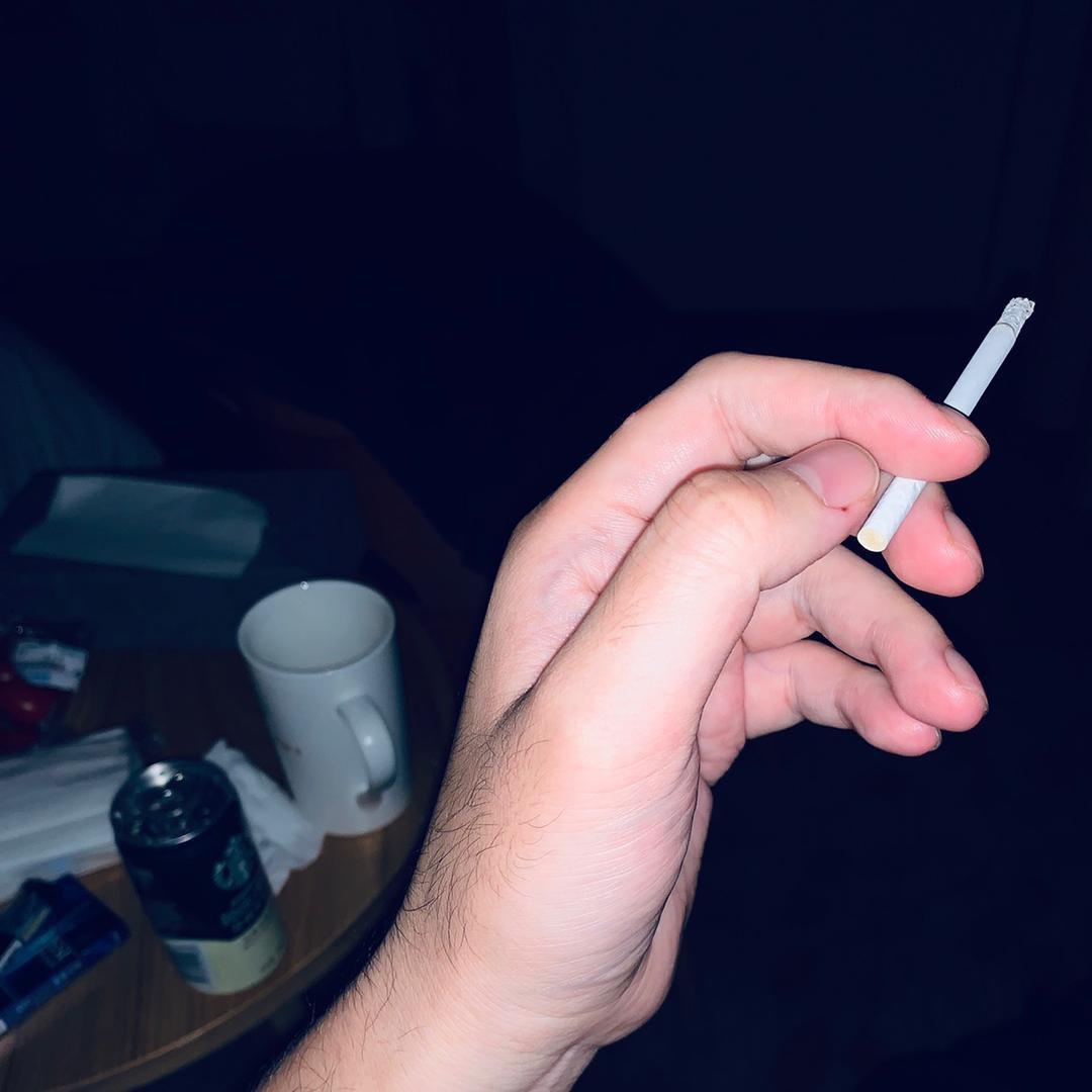 毛毛象