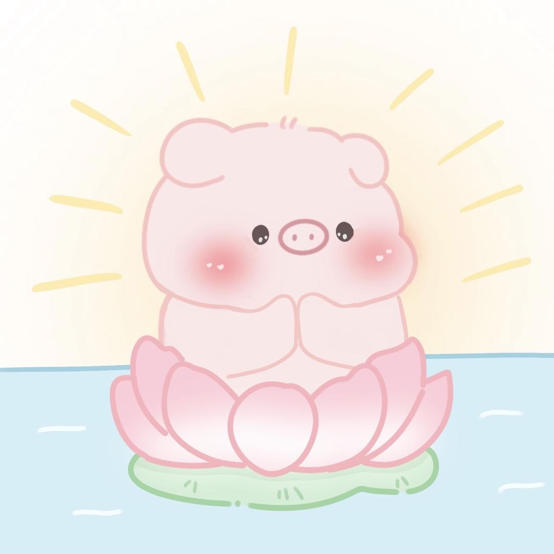 爆爆猪🐷