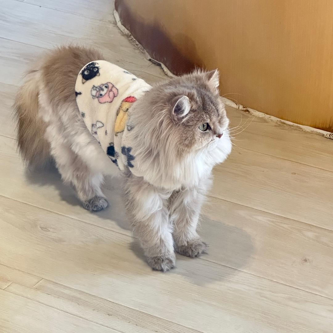 林玖儿~
