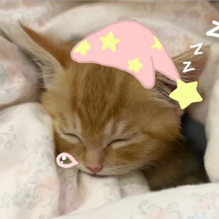 Yᥫᩣ