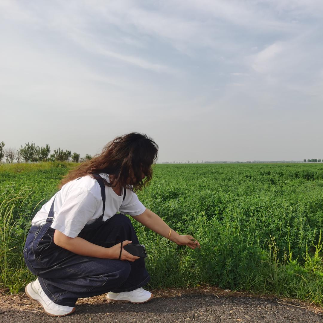 欢欢吖