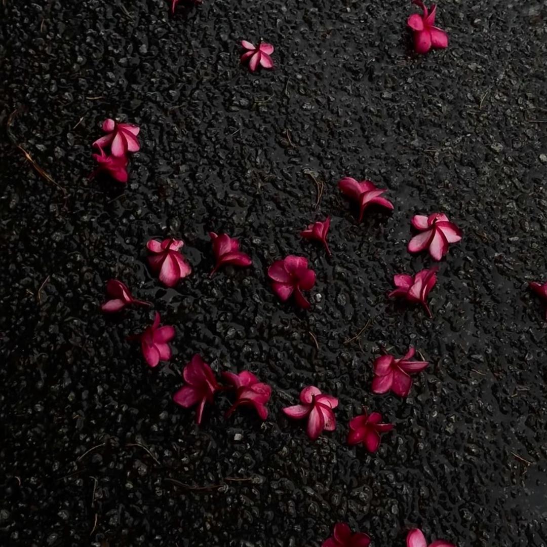 哪一朵花