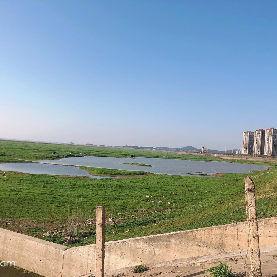 真美丽。