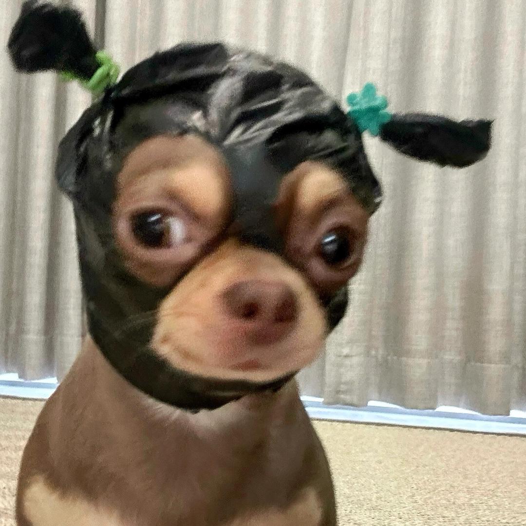 零壹
