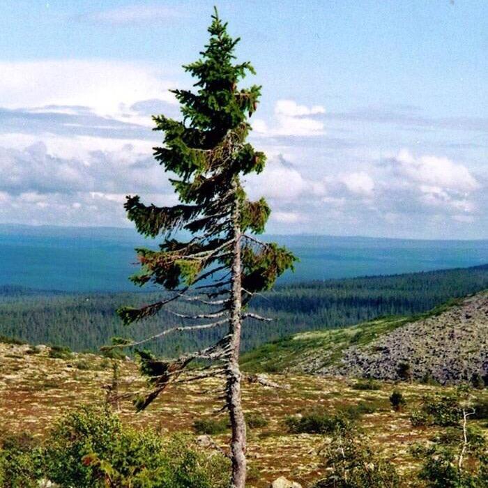 🎆人间烟火🎇