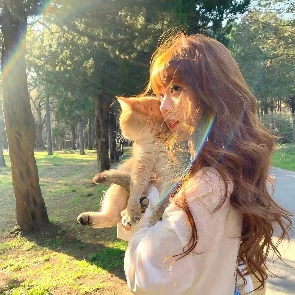 奶油小F.🧚🏻‍♀️