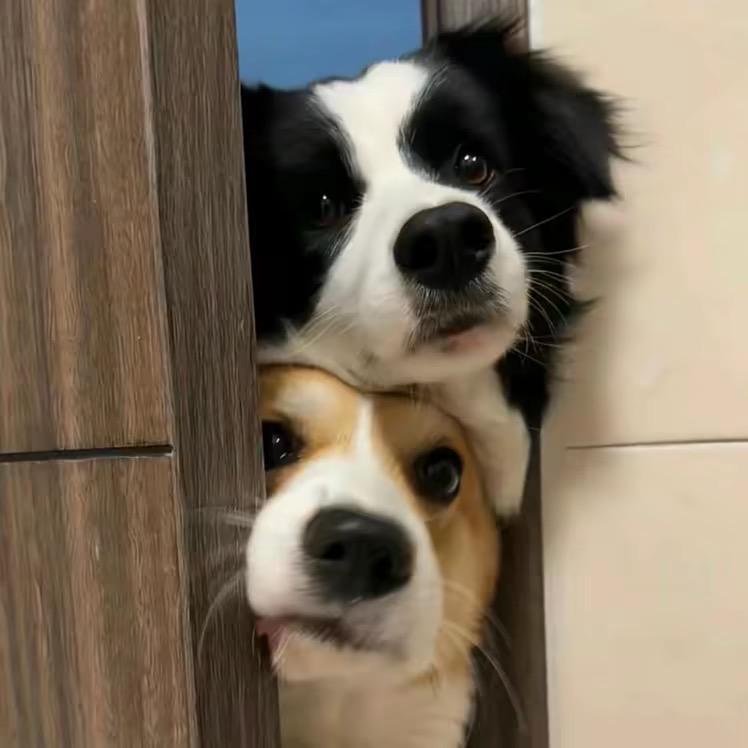 贤