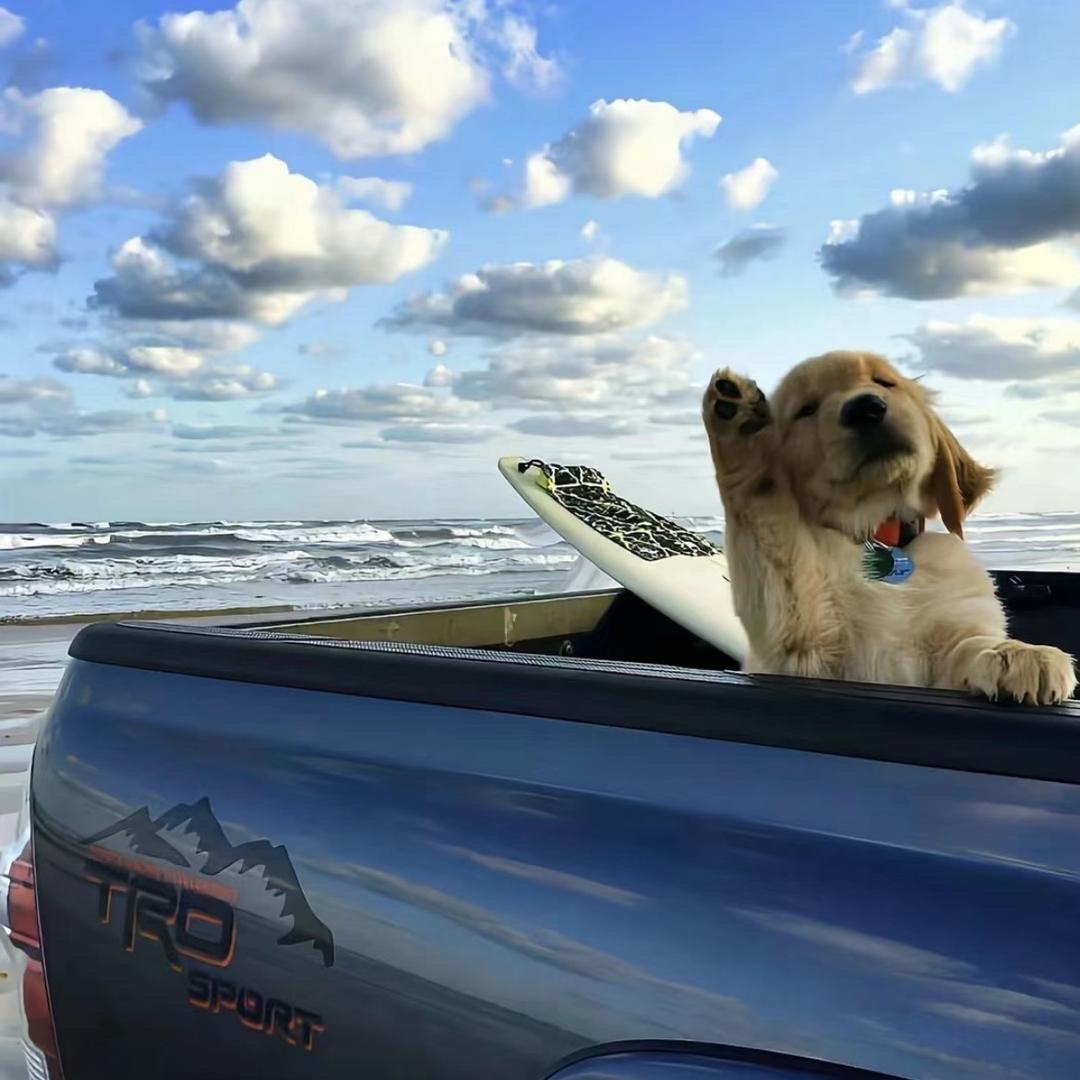 即将发财的林有钱