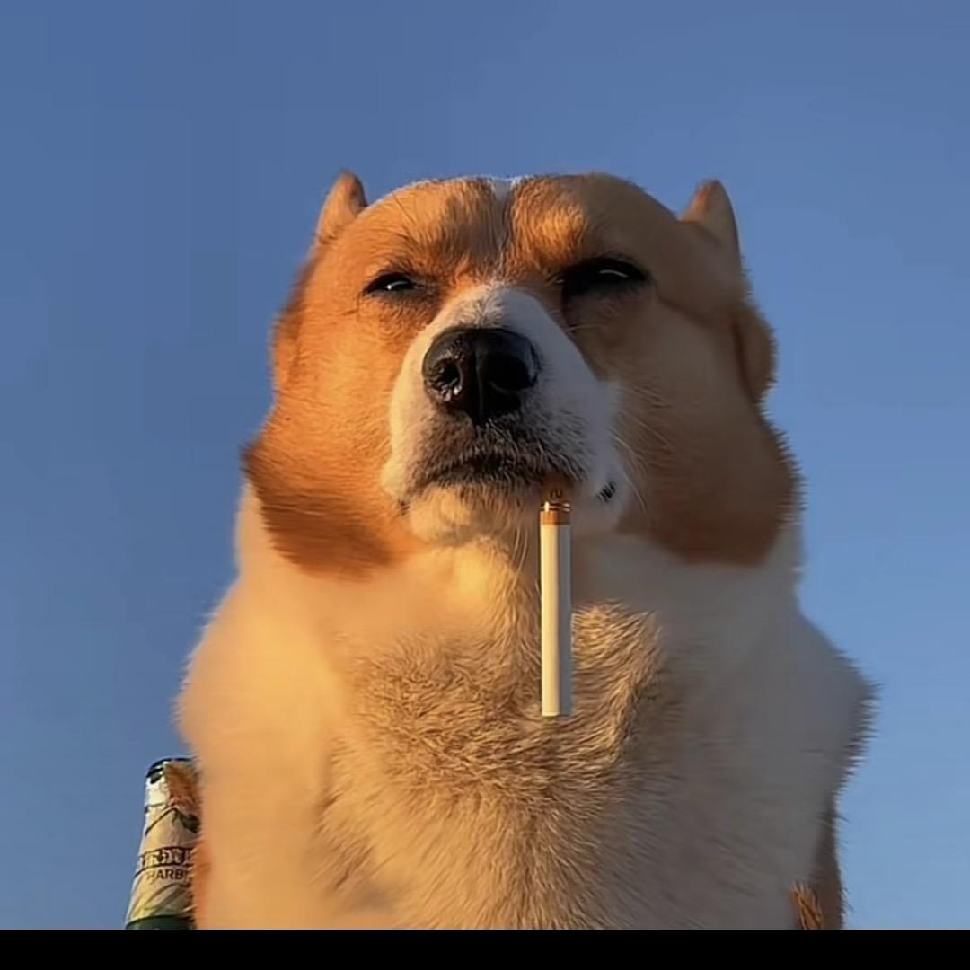 灰色按键