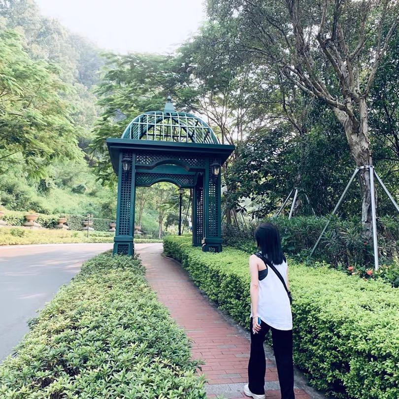 蓝桉