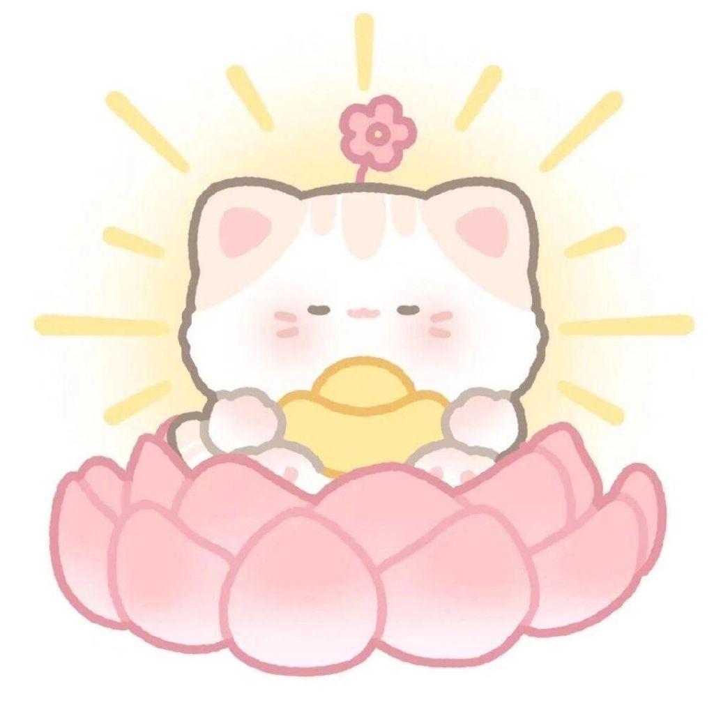 肉肉今天饿了吗