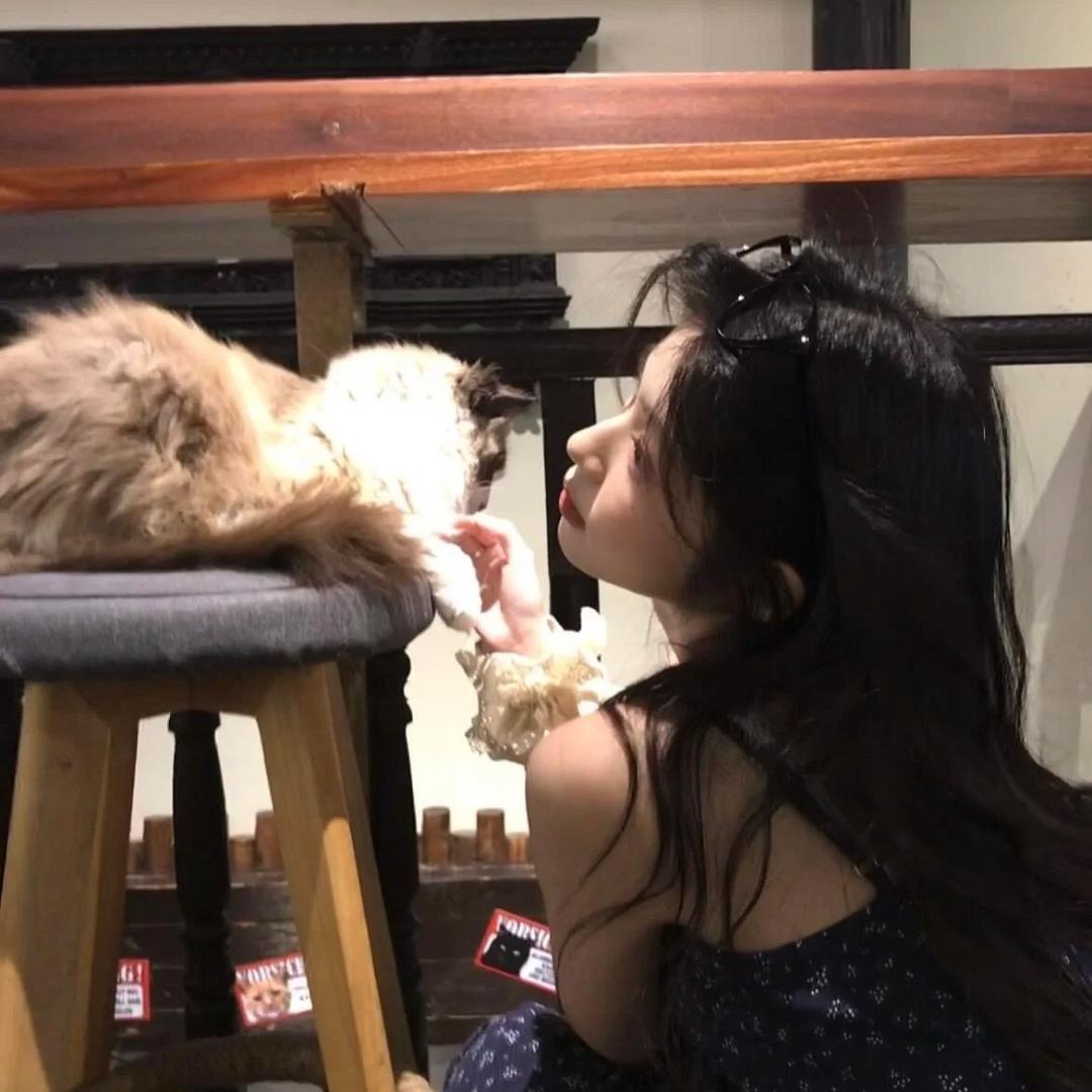 咩咩🐑