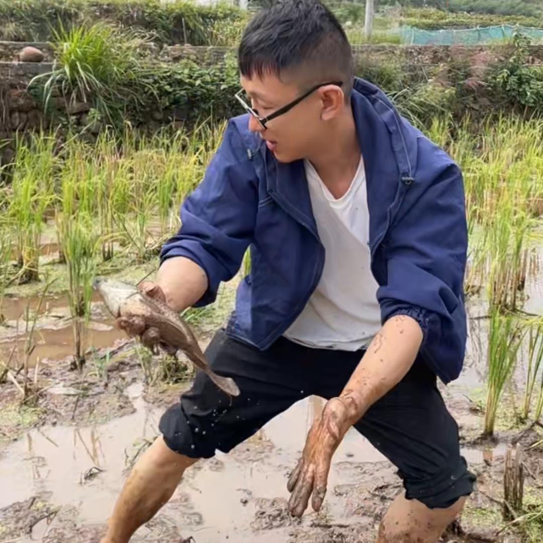 小龙