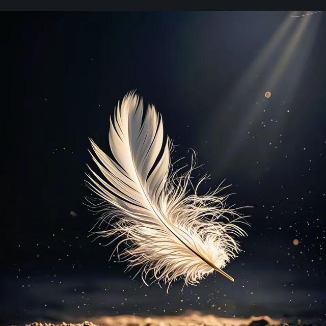 随风侃球解说员