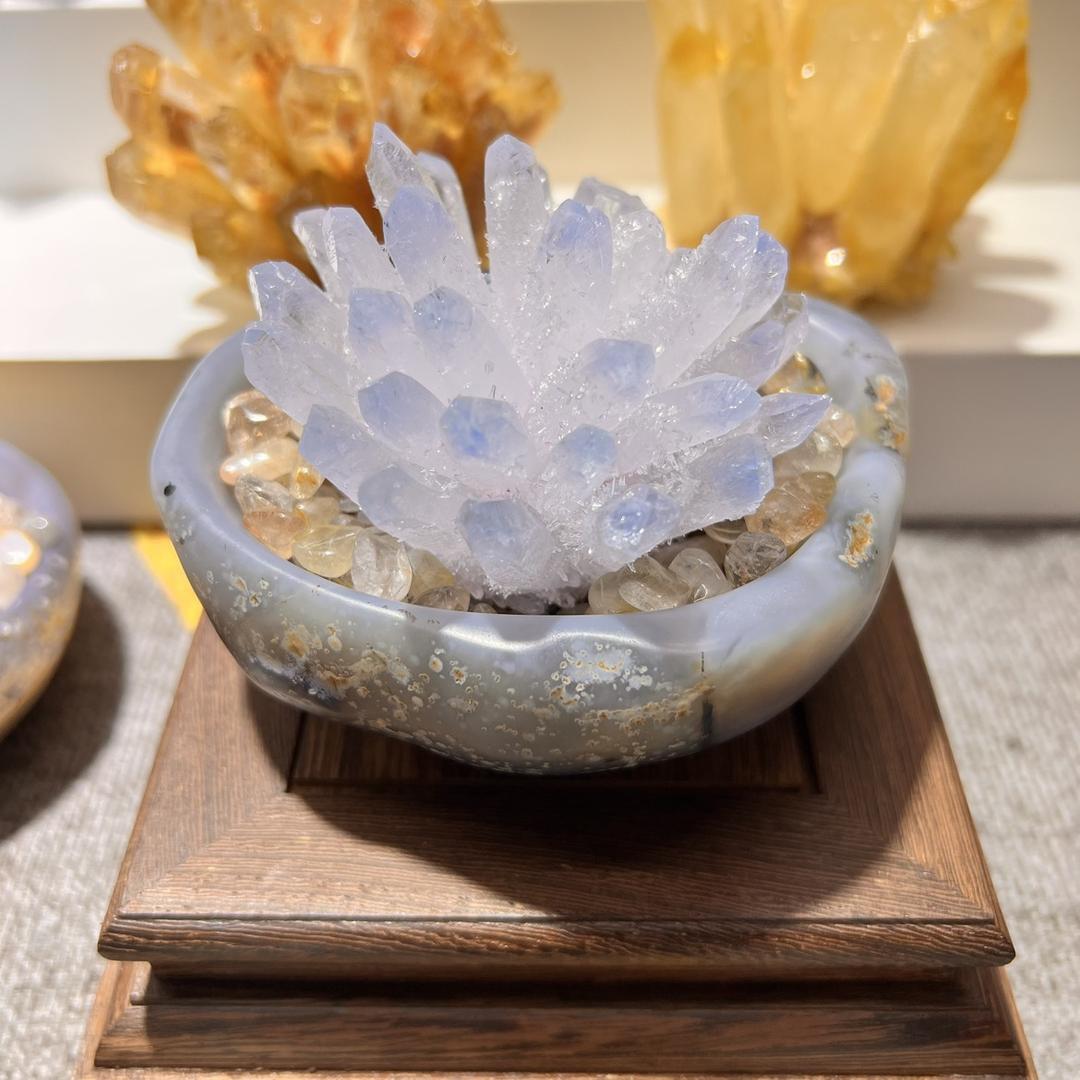 晶花之家