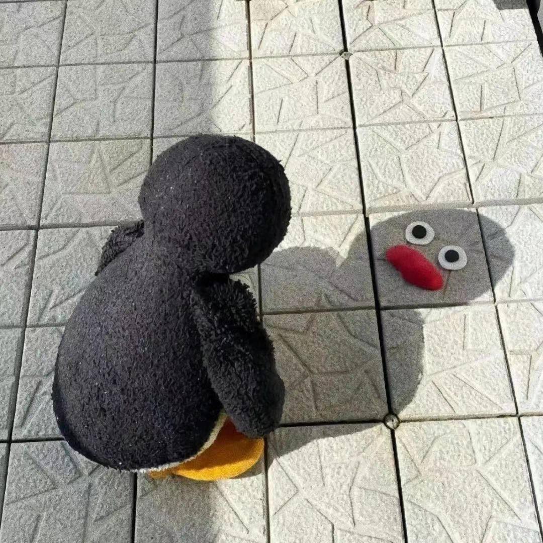娱乐小皮