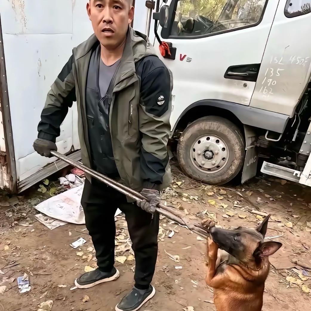 AA马师傅专业套狗