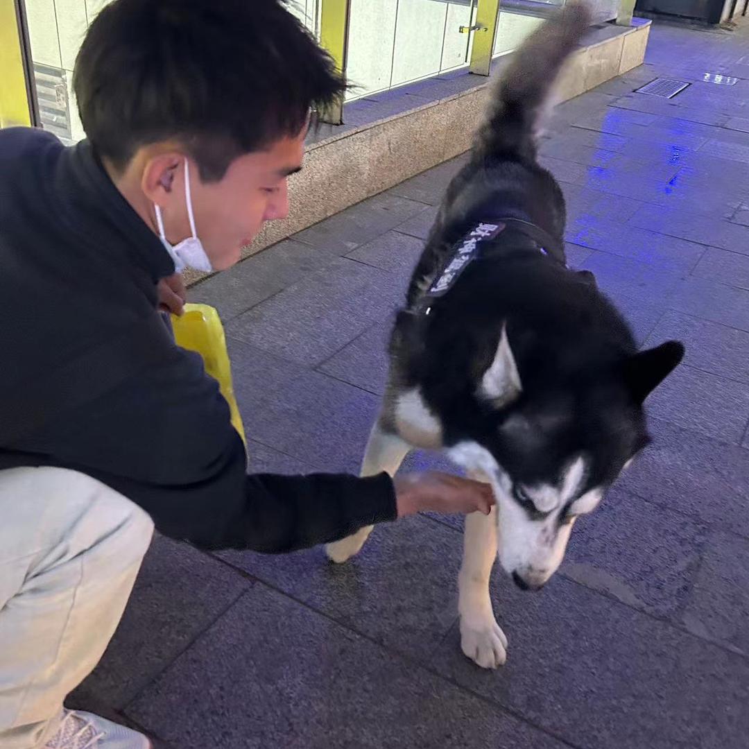 灰太狼大表哥