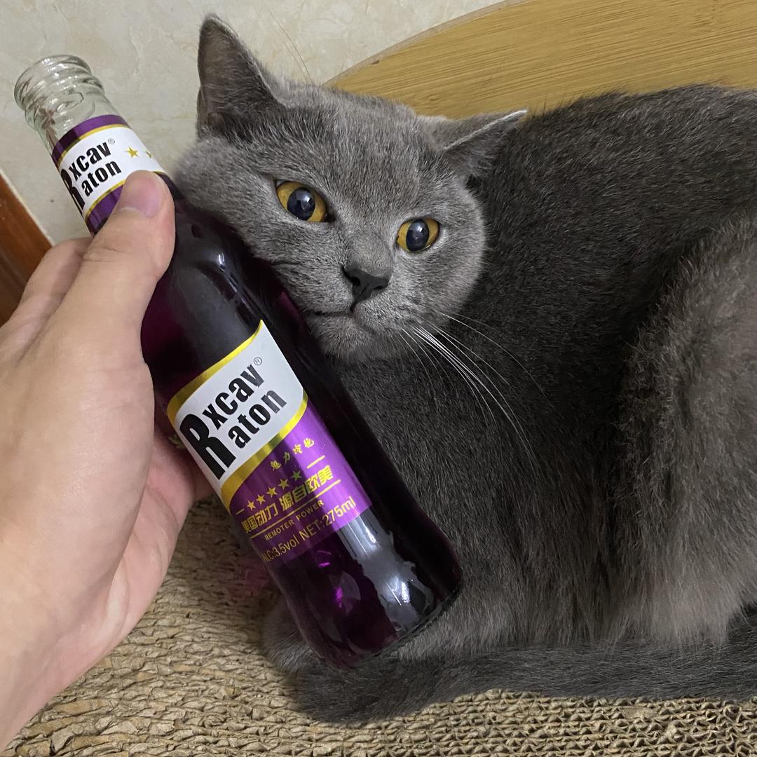 星夏传媒经纪人十四