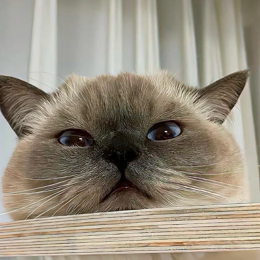 独行