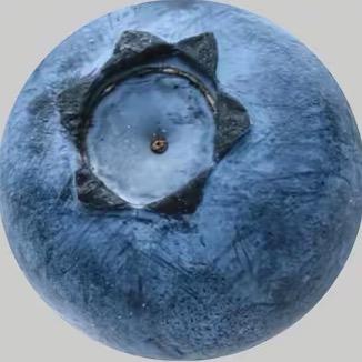 orarb