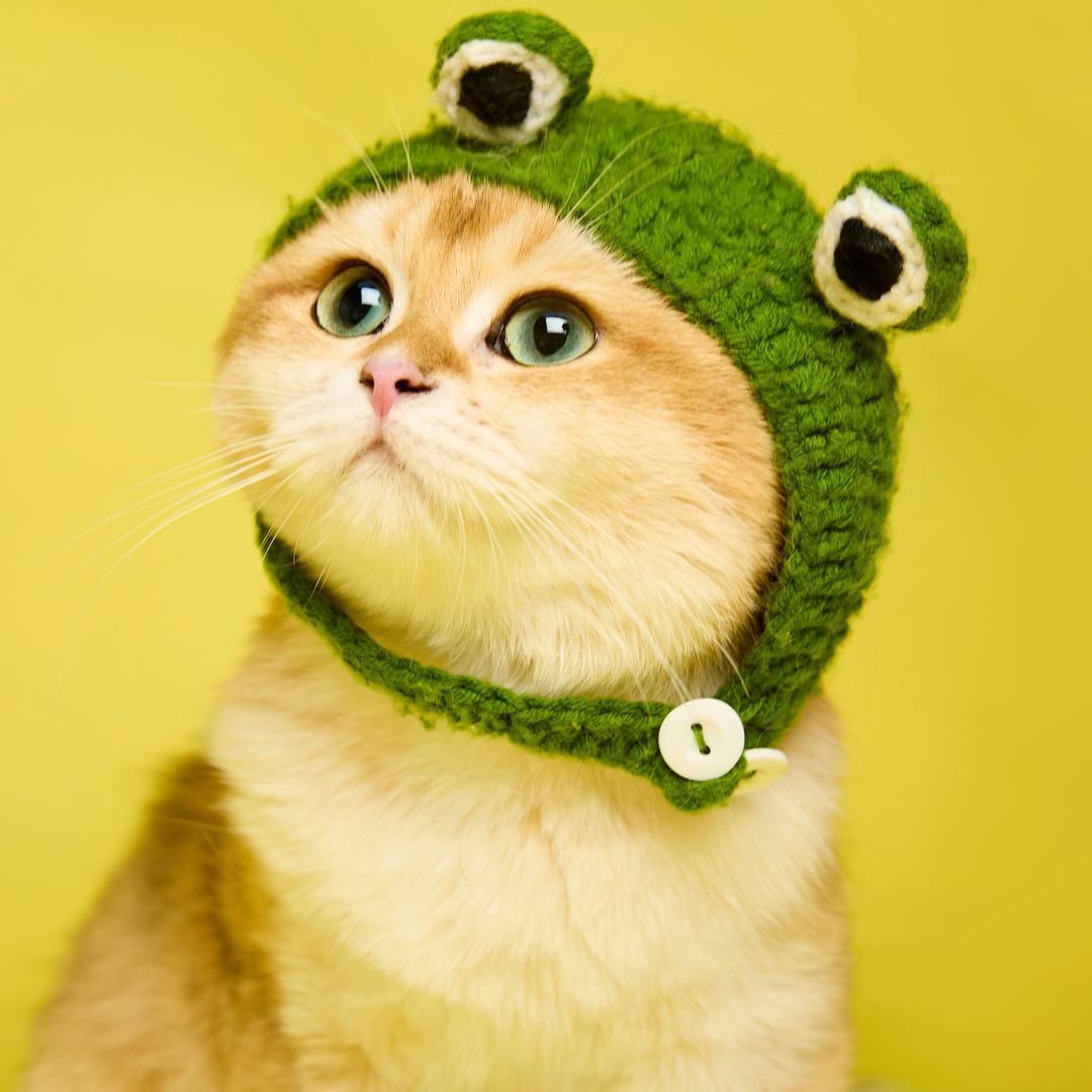 金条条