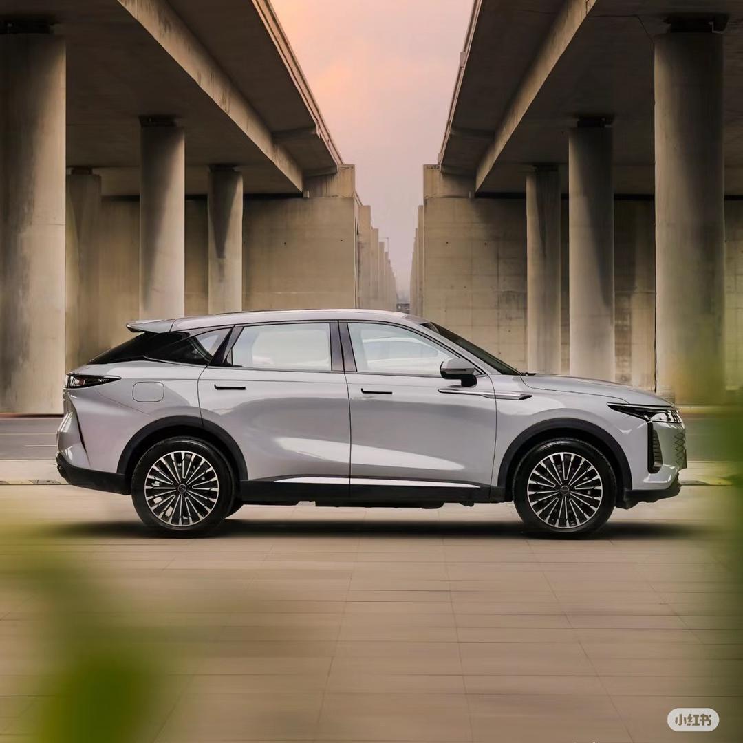 浙中星途实在店总-啊伟