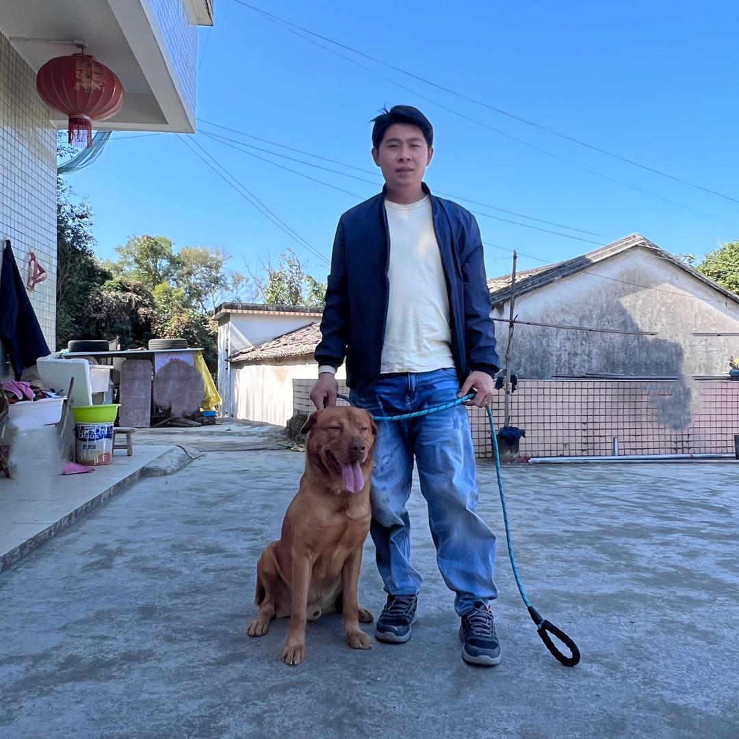 发光的金子