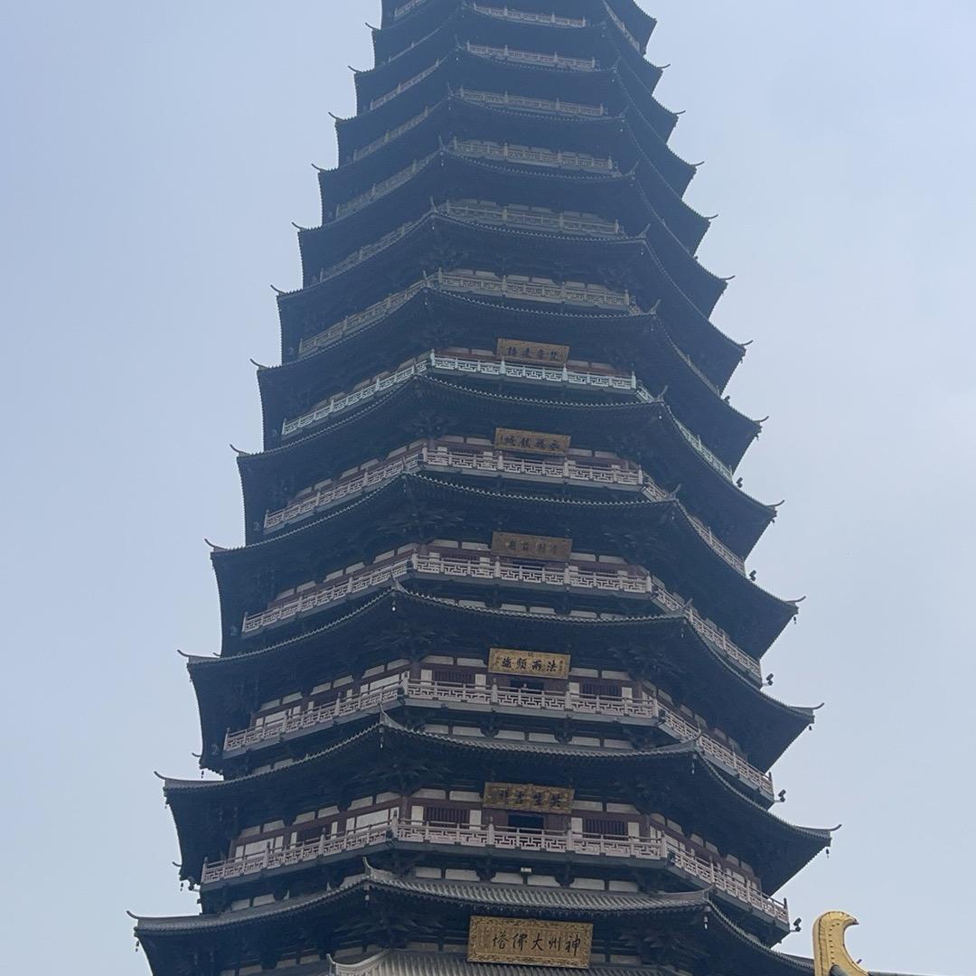 原野的清风