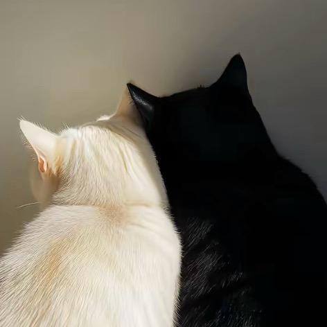 zu