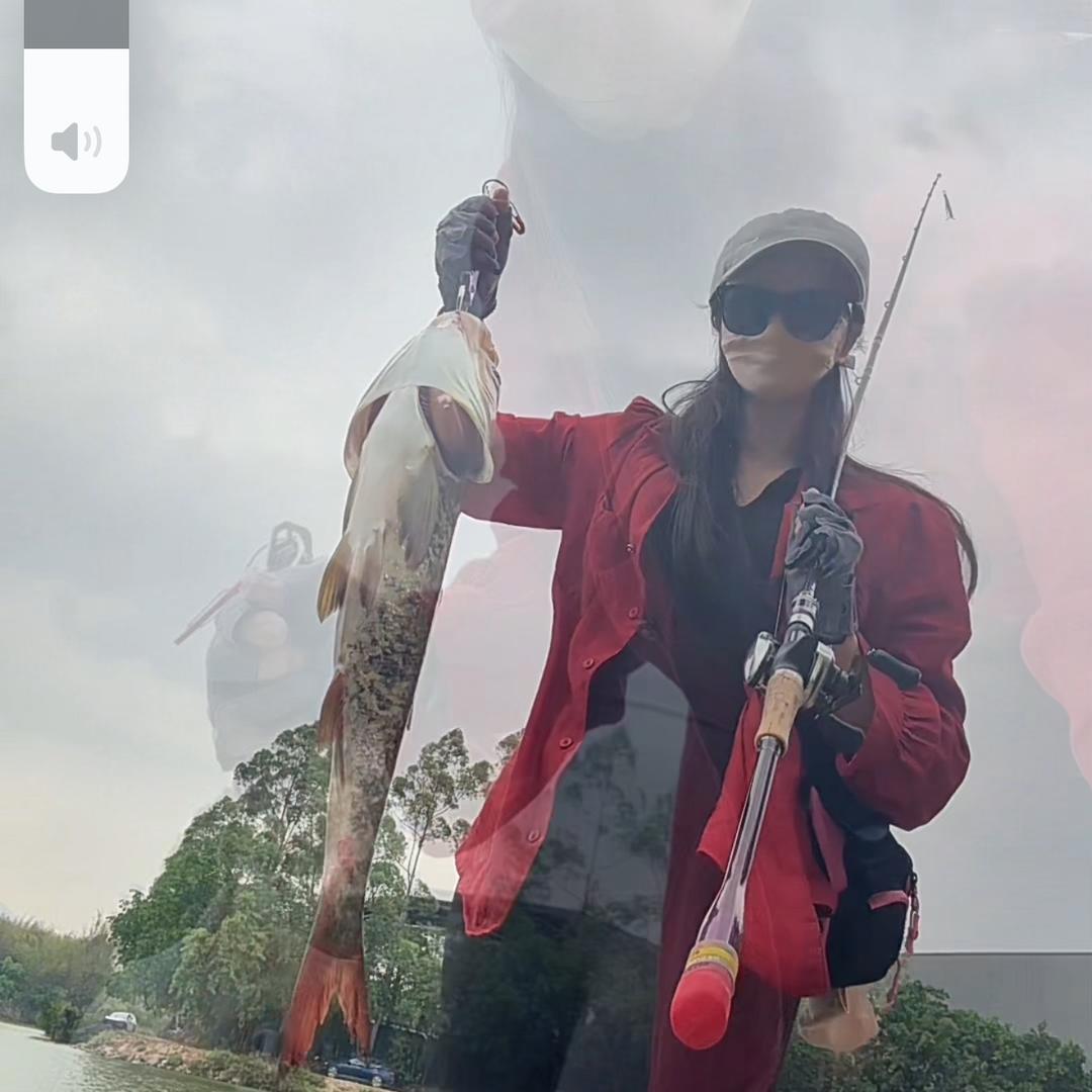 离歌💔