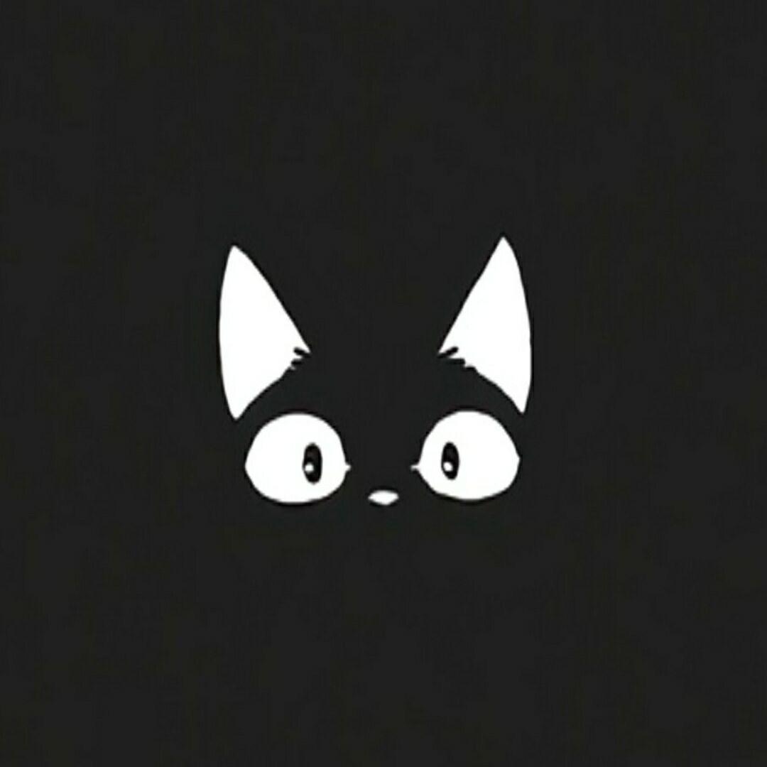 李大猫