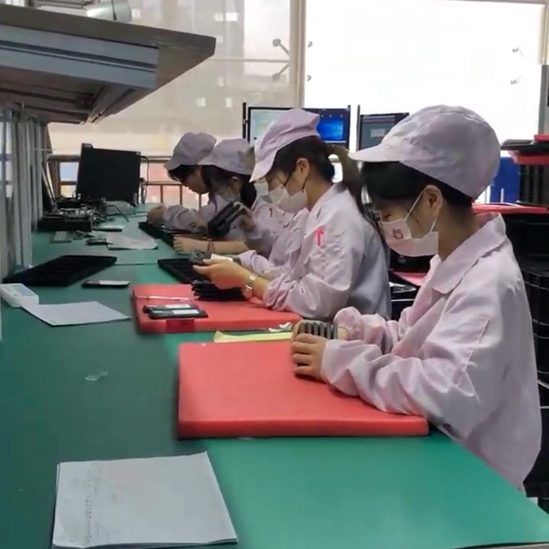 萍姐在厂区 特种就业 咨询