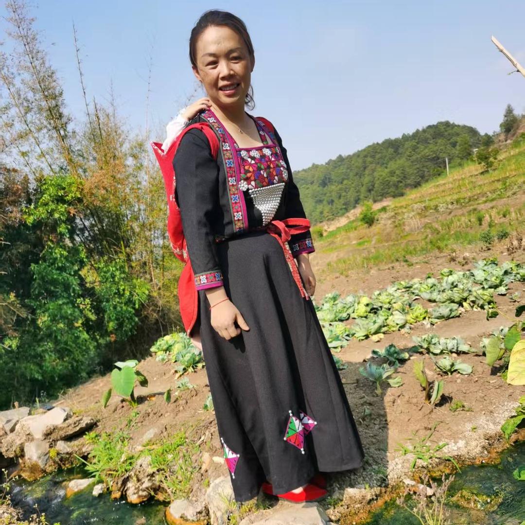 我在云南种咖啡