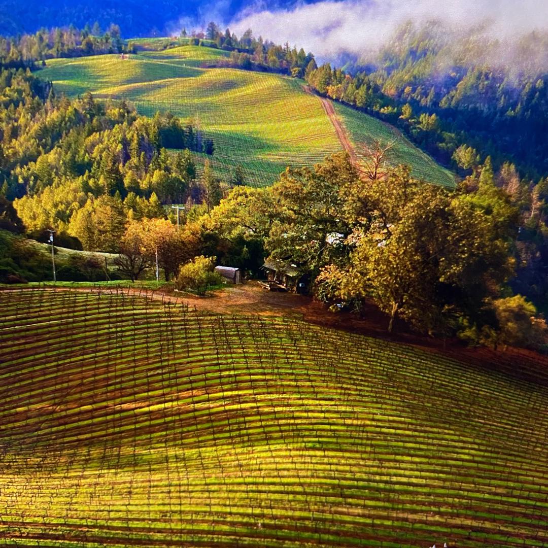 全球🌍好物推荐