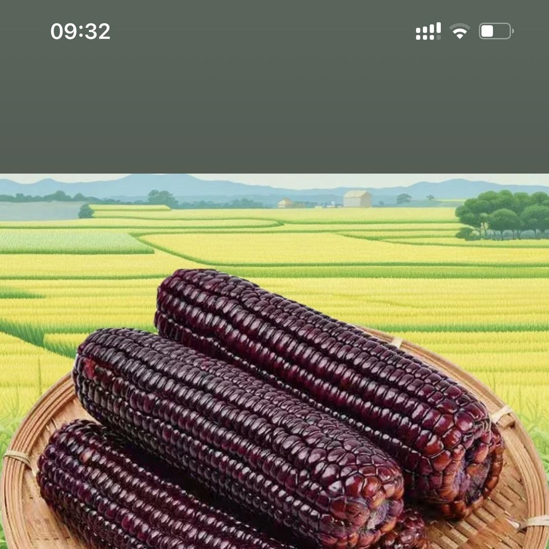 晨荣百货