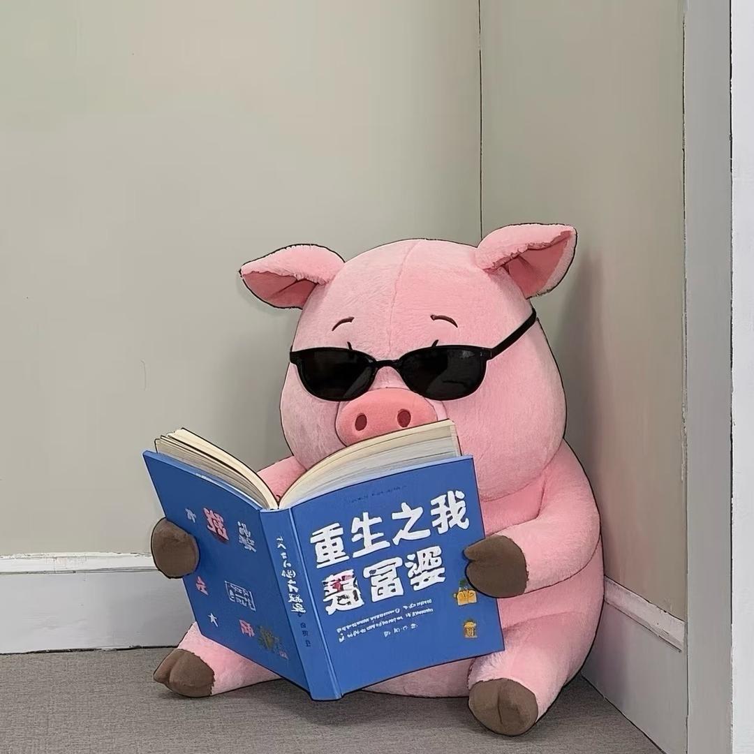 王怡苏